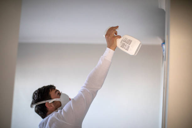 Best Fast Mold Removal  in Wanakah, NY